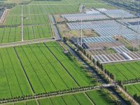 松江农业绿色发展指数跃居全国第一，这项关键指标五年增长30倍！