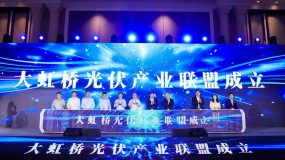 ​200多家新能源企业共聚一堂！“大虹桥”正在培育一个全新产业集群…