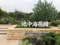 上海植物园新建北区本周四即将亮相！蓝白色调地中海花园里赏特色植物，水上花园里，荷花盛开…