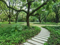 来杨浦这个“秘境花园”，在绿意中感受静谧