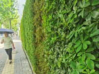 到闸北公园的200多米不再单调，上海围墙转型不只是添绿