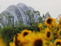 20多万平方米！中心城区新添一座“上海大花园”，9月28日试开放