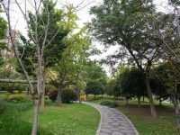 “中心绿地、生态廊道、口袋公园……”徐泾镇生态空间“满目青绿”