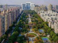 亮相世界城市日！上海这个街道，为何能成为全球生态活力社区样板