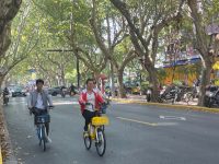上海梧桐区窄马路适合骑单车吗
