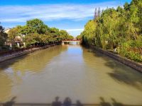 从“治差水”转变为“保好水”，上海松江常态治水呈现河畅水清
