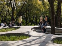 上海市中心冒出来的这些“市民园艺中心”，究竟是干什么的？
