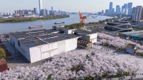 从“垂直硅谷”到大模型生态社区，“艺术起家”的徐汇滨江如何构筑产业蓝图